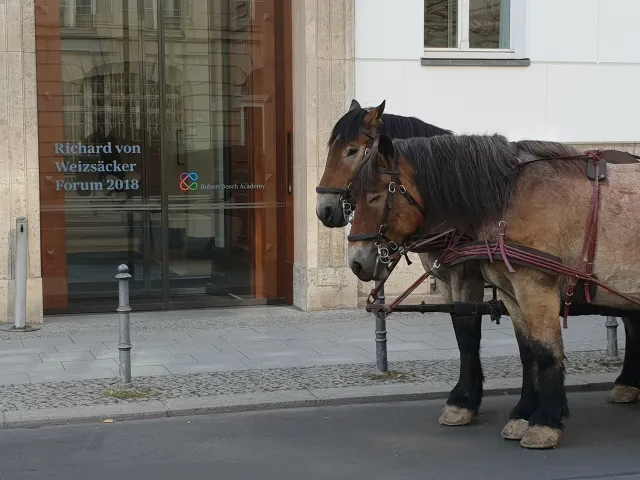 Twitter_Pferd.jpg 